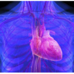 La deficiencia severa de Selenio puede producir cardiopatias