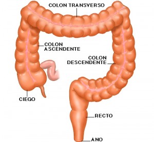 problemas-colon