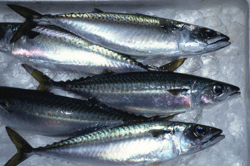 Los beneficios del pescado azul en la dieta