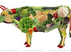 Mitos Acerca del Vegetarianismo