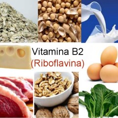 La importancia de la Riboflavina o vitamina B2 para nuestro organismo